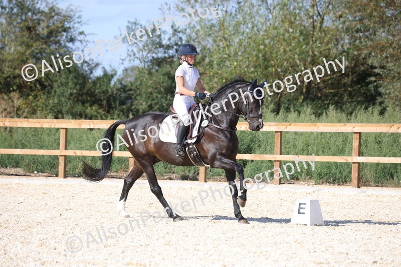 20260905-1629 - Class 5 - Novice 2