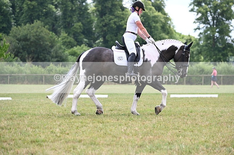 WJ6_6917 - Time 11:48 to 12:22