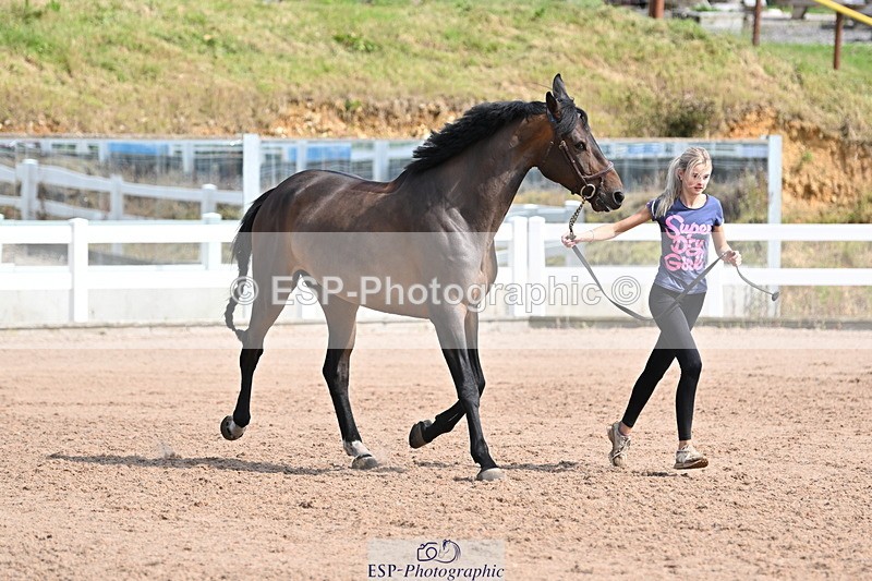 240717A-160324-03300 - Trot Up 4pm to 5pm