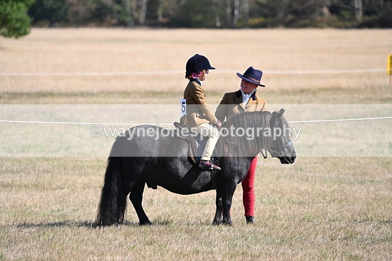 WJ6_7430 - Class 34 Judges Choice