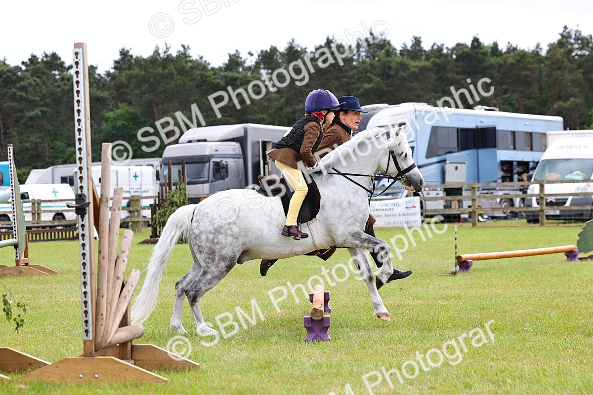 SBM_08268 - Class 42-43 - LIHS BSPS Heritage Working Sports Pony