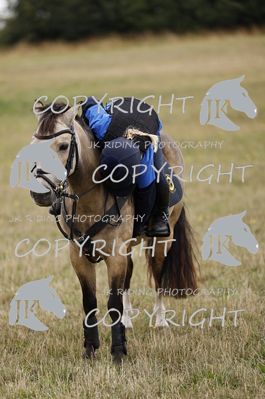_R6A1264 - KELLY