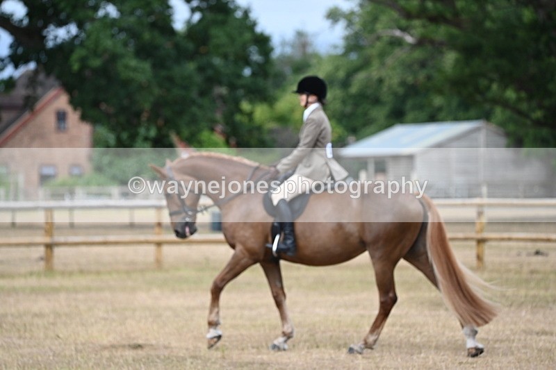 WJ6_7366 - Class 9 Tack and Turnout