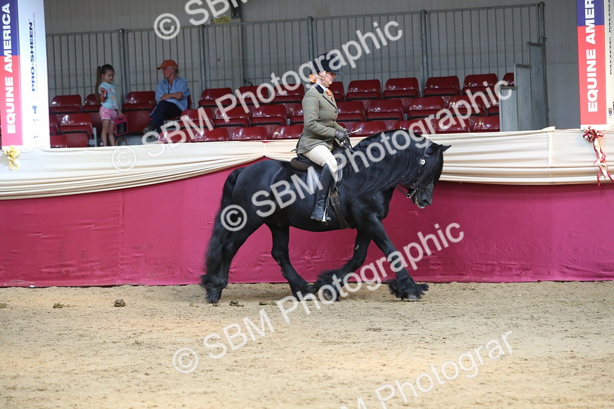 SBM_08279 - Class 11R Regional Ridden Veteran