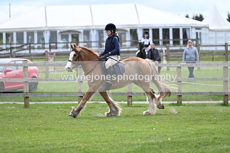 WJ7_6331 - 60cm Time 11:12 to 11:36