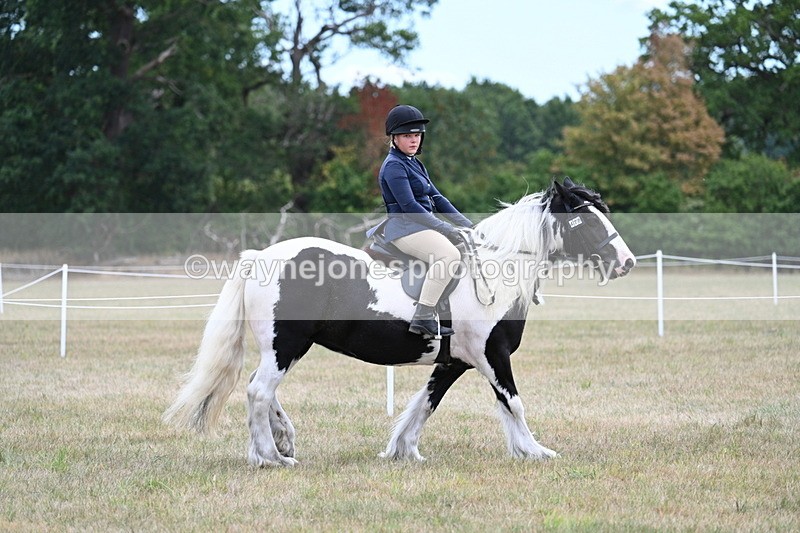 WJ7_4699 - Class 12 Ridden Cob