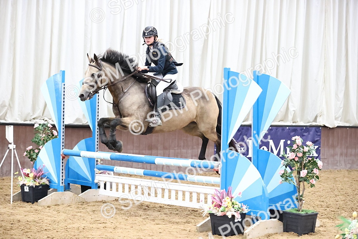 SBM_000446 - Class 2 - Pony British Novice - 80cm Open