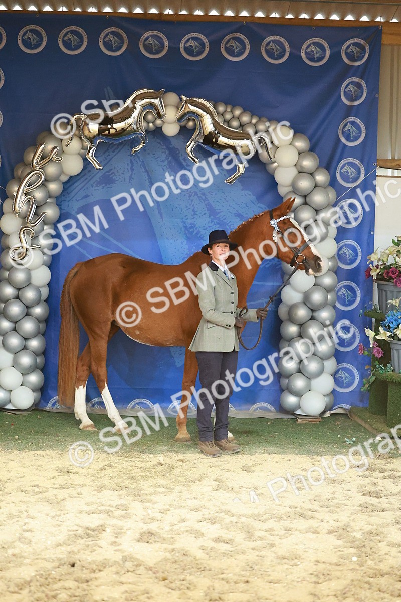 SBM_13711 - Class 104 - IH  Costume