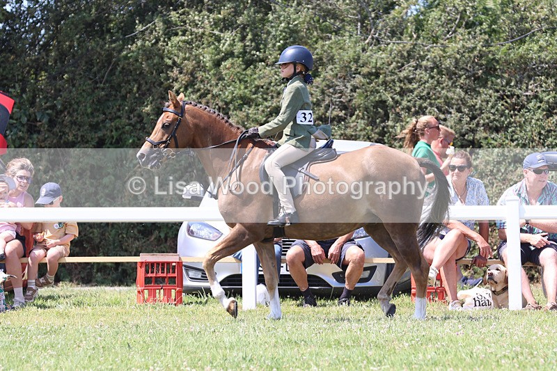 JPP_2767 - Class 21: Working Hunter 60cm