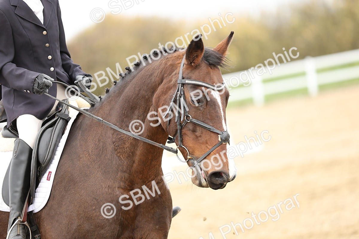 SBM_003008 - Class 8 - Novice 1