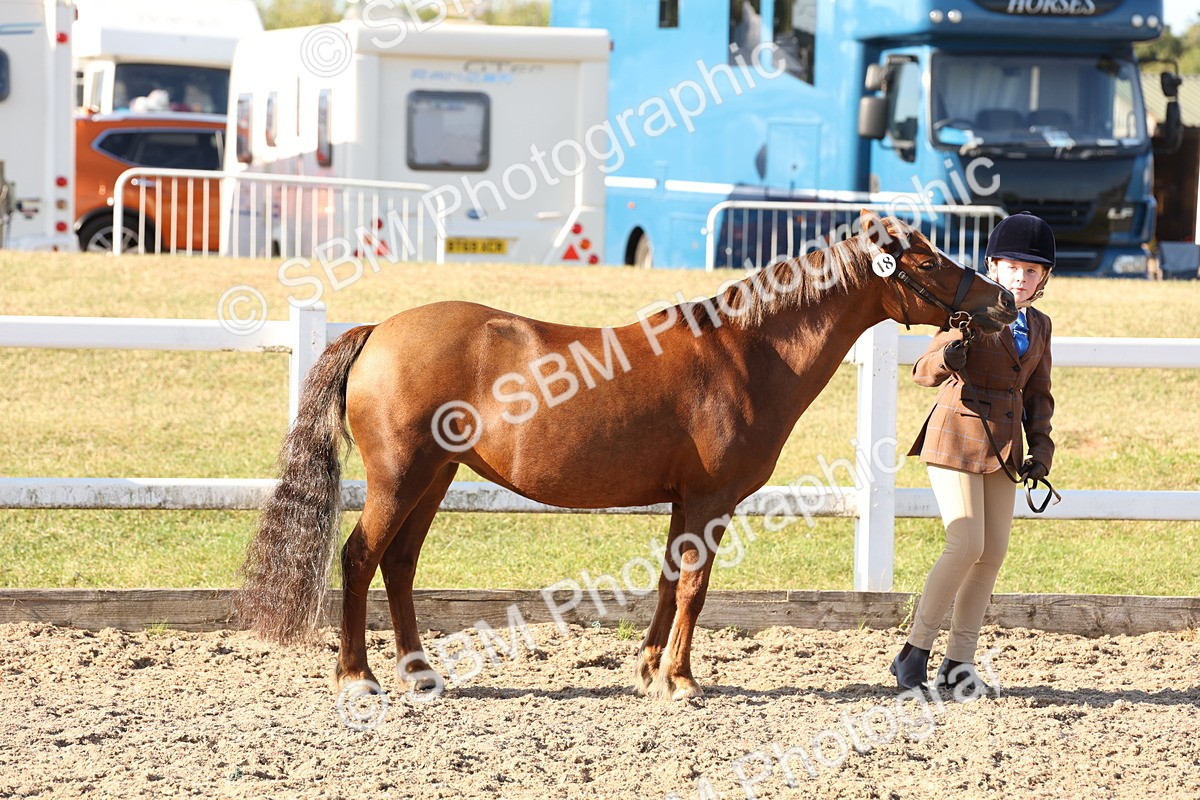 SBM_11645 - Class 203 - Young Handler 11 to 16 years