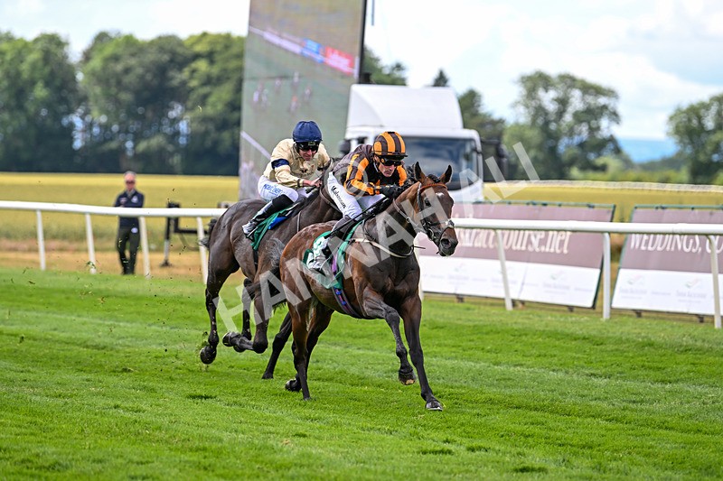 020725-Race 1-Dandy Style-1778 - Race 1