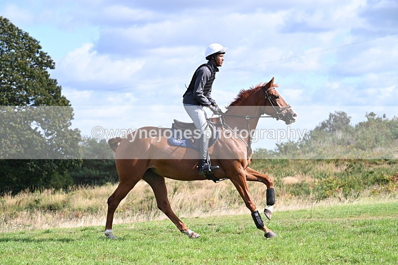 WJ7_0159 - Time 11:02 to 11:34