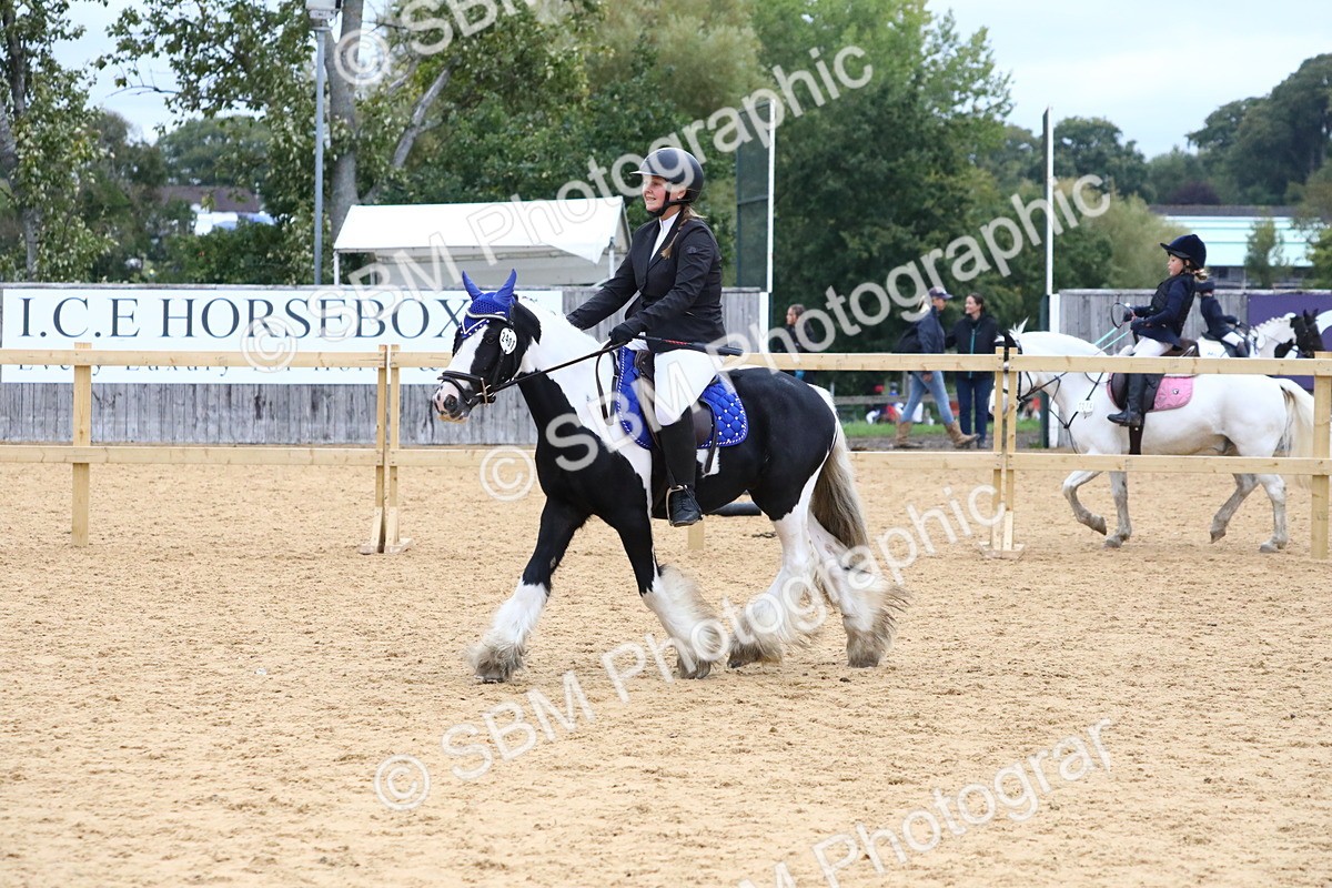 SBM_68317 - J3b - Mini Tour Junior Pony 40cm Championship