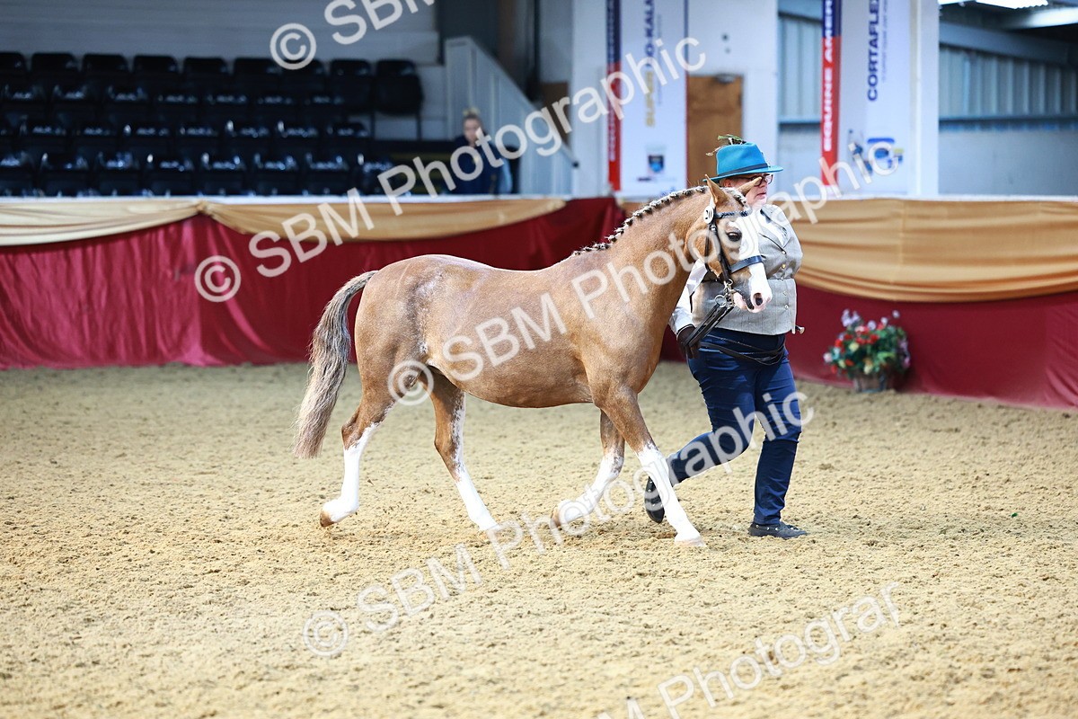 SBM_22177 - Class 902 - Supreme Final - IH Diamond