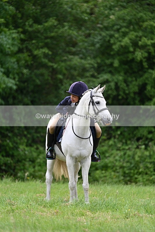 WJ7_3747 - Class 14A Handsome Gelding