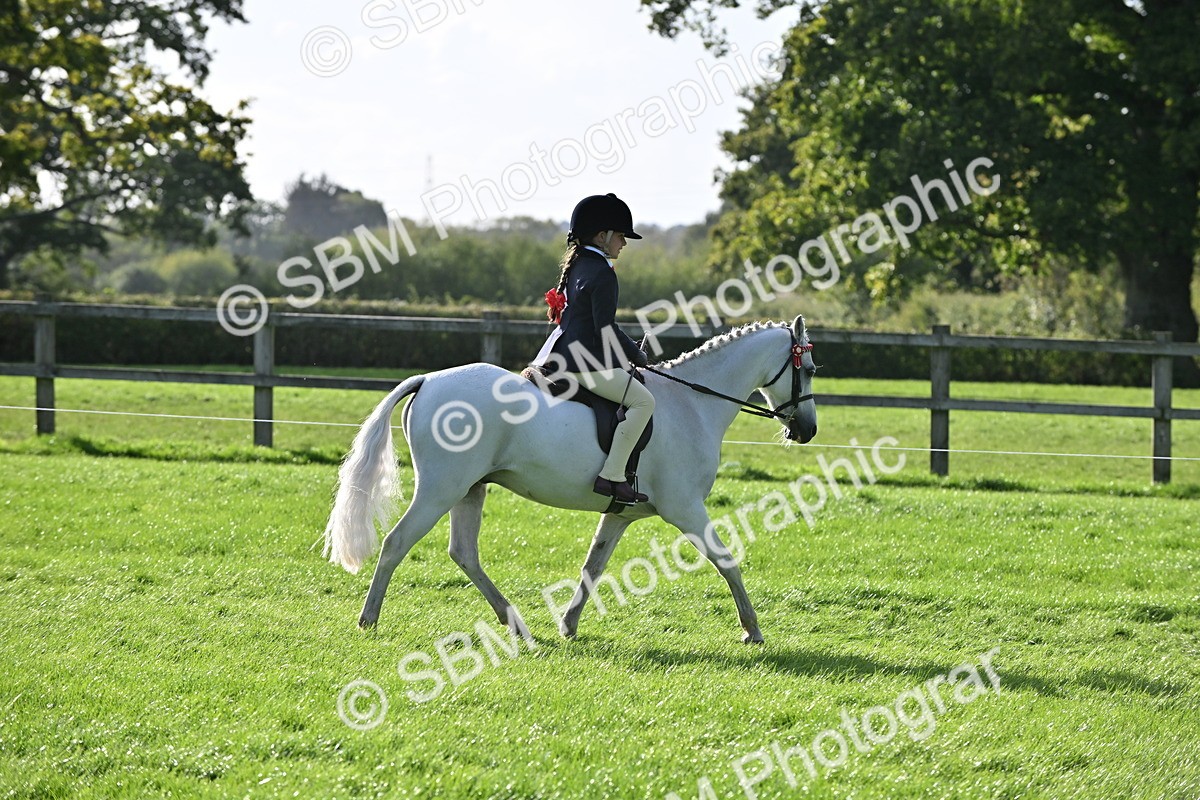 SBM_51249 - S22 - First Ridden show and show Hunter Pony