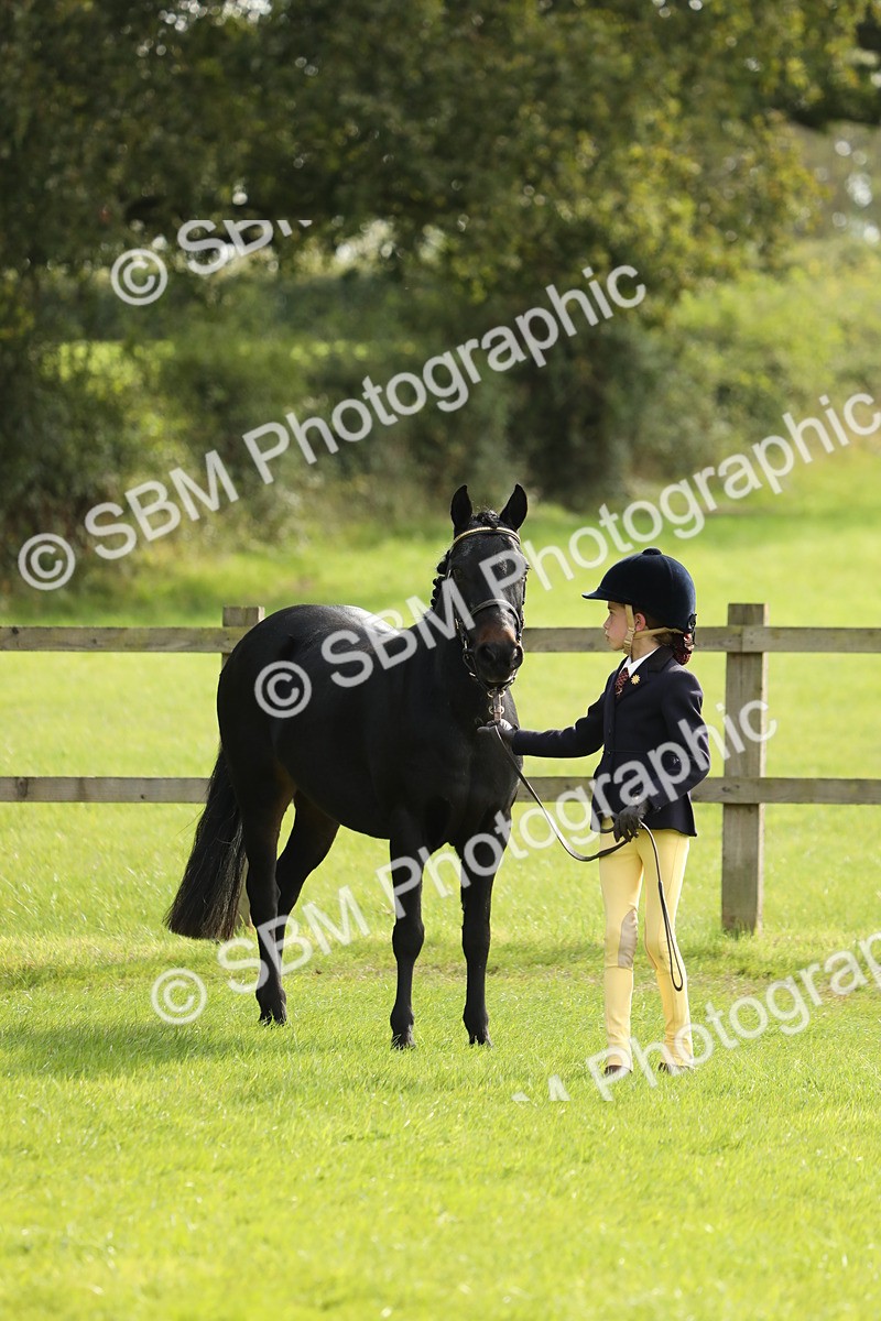SBM_68517 - S40 - Junior Handler 9-12 Years
