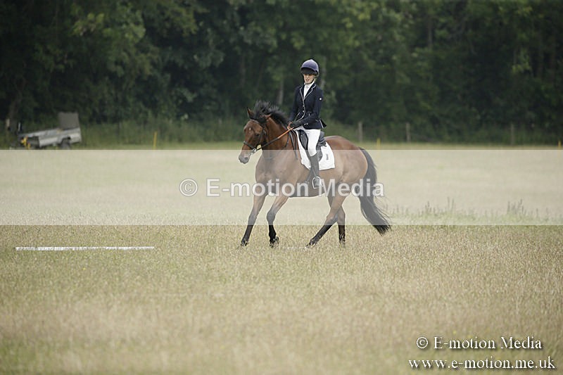 B230619-0398 - Bourne Valley Riding Club Summer Show 23/06/19