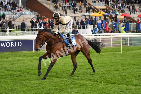 yr22052021r5-15 - Race 5 4.20pm William Hill EBF Novice Stakes (Plus 10 Race)