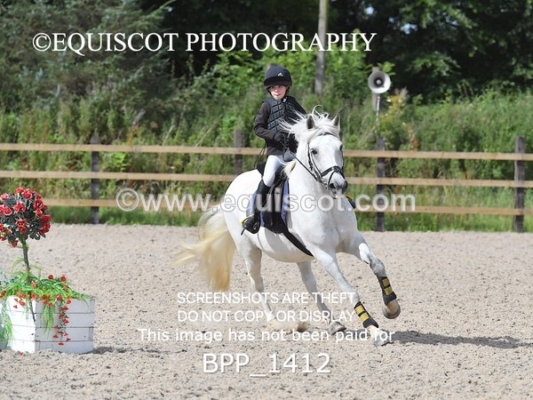 BPP_1412 - DERBY CLASS 2 - 30CM