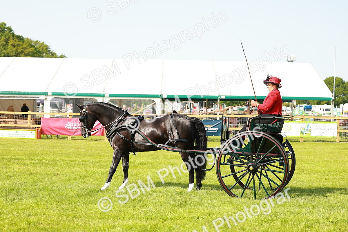 SBM_01222 - Class 2-4 - HOYS Private Driving