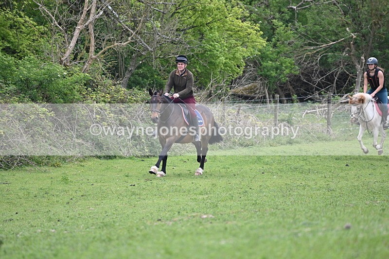 WJ6_3277 - A camera