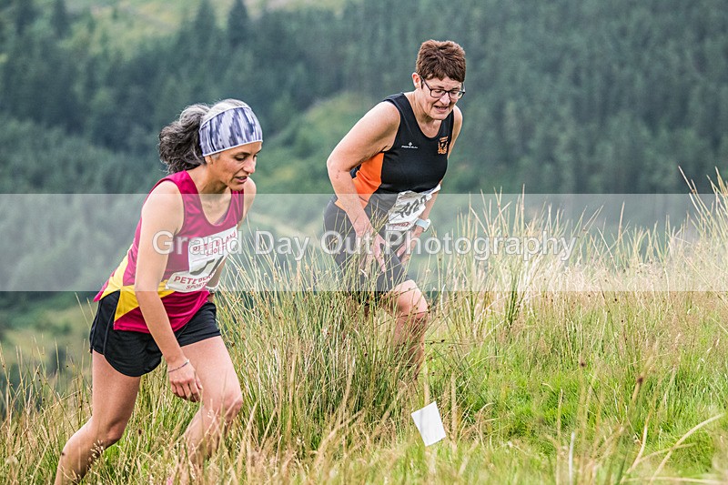 Steel Fell-446 - Steel Fell Race Wednesday 6th August 2025