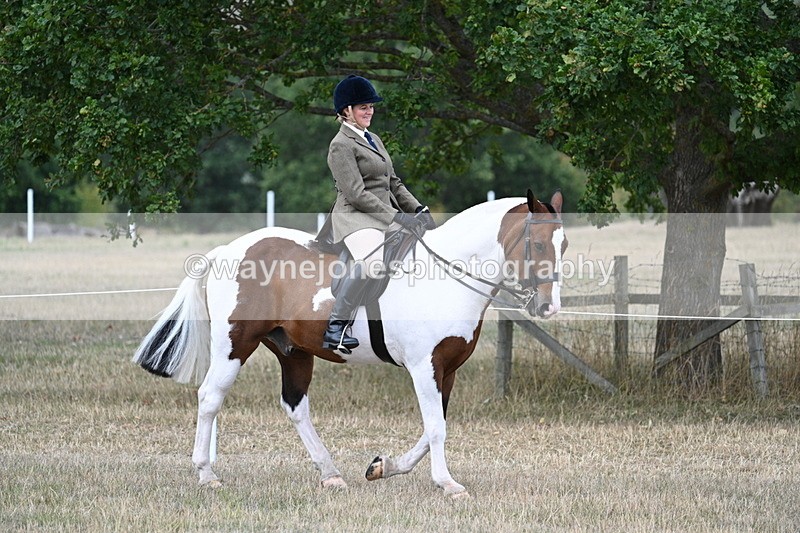 WJ7_5388 - Class 12 Ridden Cob