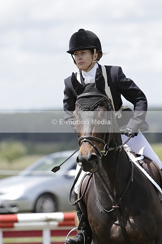 BVHT 140517 N-395 - Class 2 SJ Novice 14/05/17