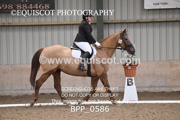 BPP_0586 - 2 - G NEIL