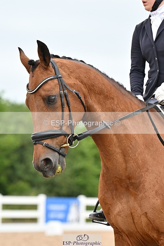 240623A-120445-17831 - Cls 48 BD Novice 37A