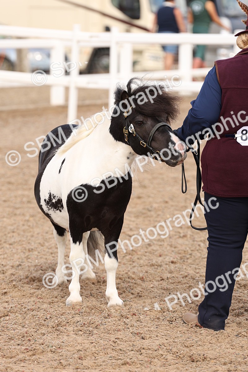 SBM_15105 - Class 209 - IH Veteran Pony