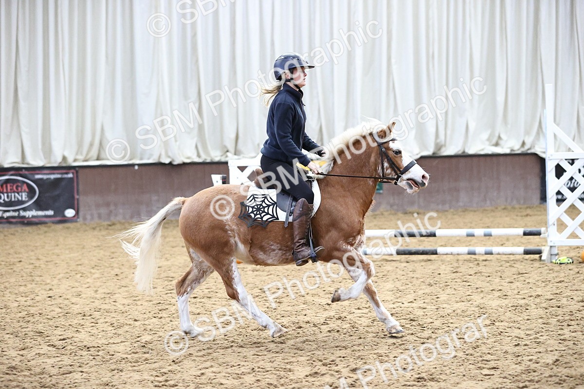 SBM_000240 - Class 2 - Show Jumping 50cm