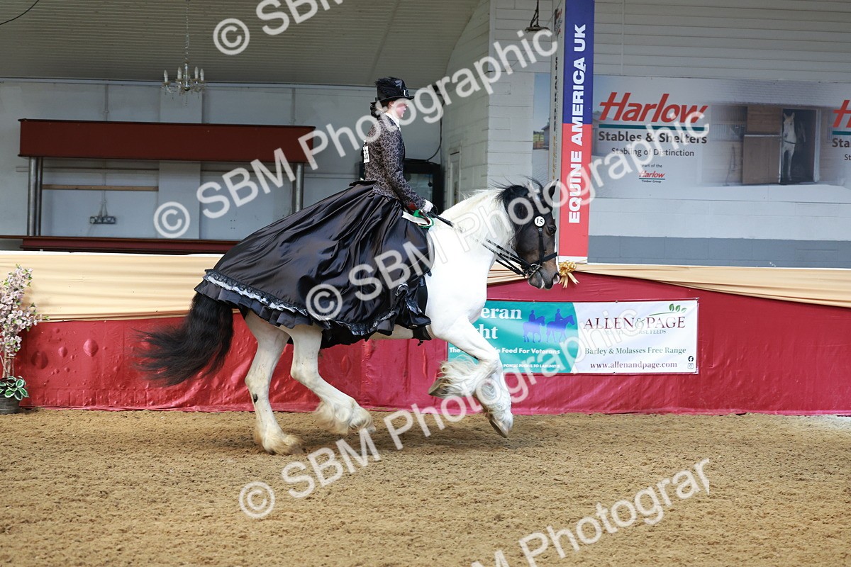 SBM_13845 - Class 106 - Ridden Costume -Astride Adult (15-19)