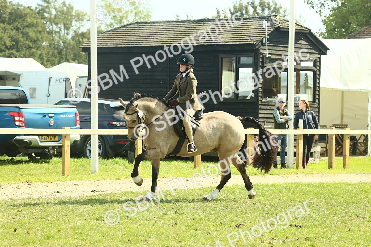SBM_67622 - S56 - Coloured Pony Ridden
