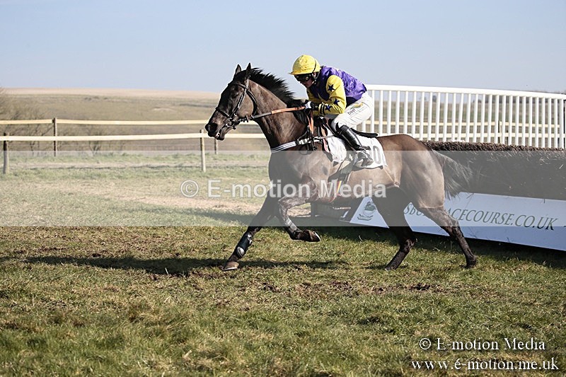 PtP 240218 284 - Vine & Craven Hunt Point-to-Point Barbury racecourse 24/02/18