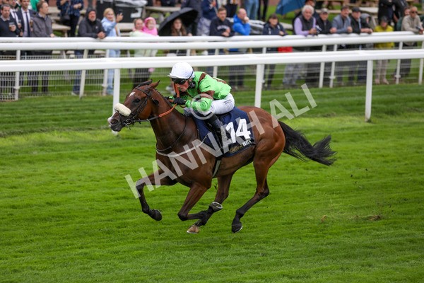 120724-Race 1-Tolstoy-1603 - Race 1 2.05pm William Hill Extra Place Races Daily Handicap