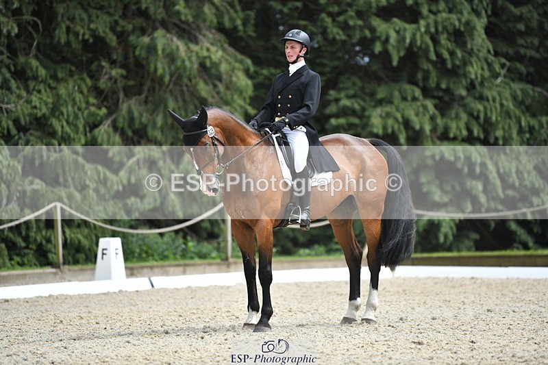 230525-151325-03215 - 325-LONESTAR-Thomas_Hawke-WEDTrotUp+DR