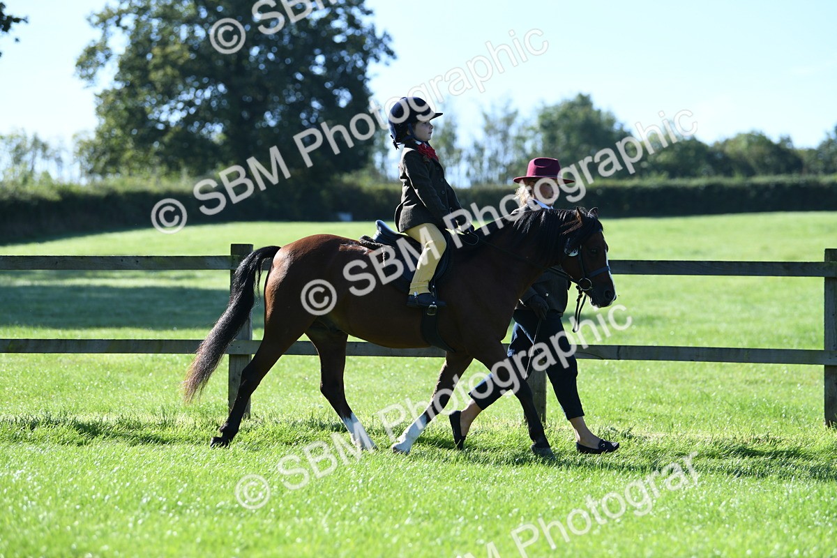 SBM_36711 - S18 - Novice & Newcomers Lead Rein Pony