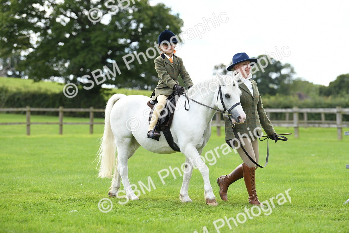 SBM_42423 - S20 - Lead Rein Mountain & Moorland Pony