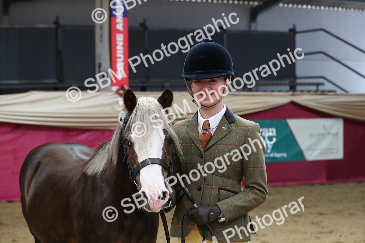 SBM_04450 - Class 7R Regional - IH Diamond