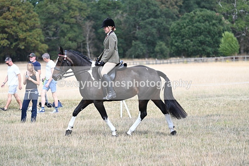 WJ7_5834 - Class 13 Ridden Veterans