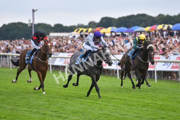 yr23072022r6-33 - Race 6 5.00pm Sky Bet Partnership with Support Dogs Stakes