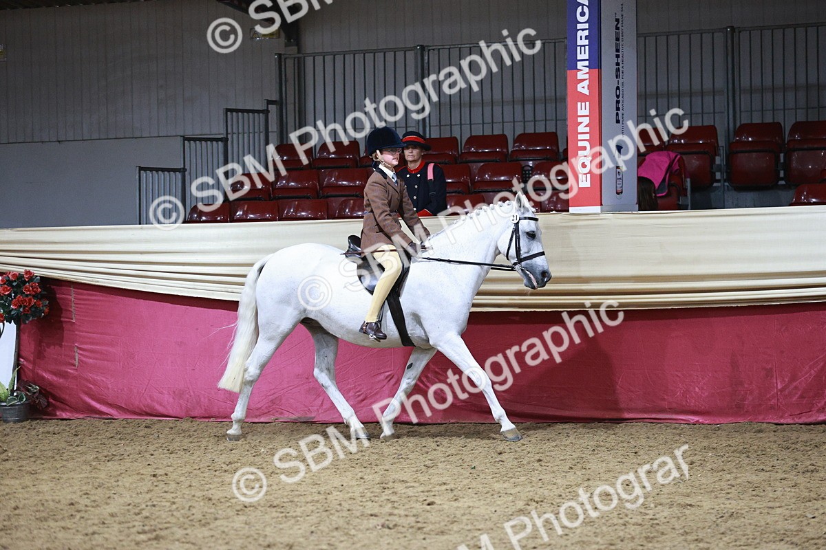 SBM_08016 - Class 11R - Regional Ridden Veteran