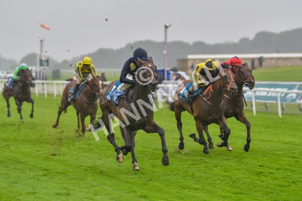 140723-Race 5-Monte Linas-8288 - Race 5 4.25pm Coopers Marquees Handicap