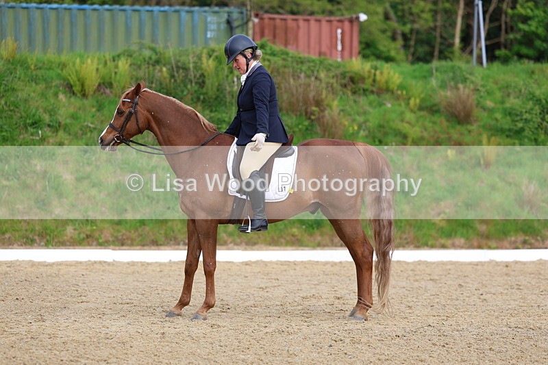 3E7A3482 - Class 2: INTRO B- INTRO 3 2024