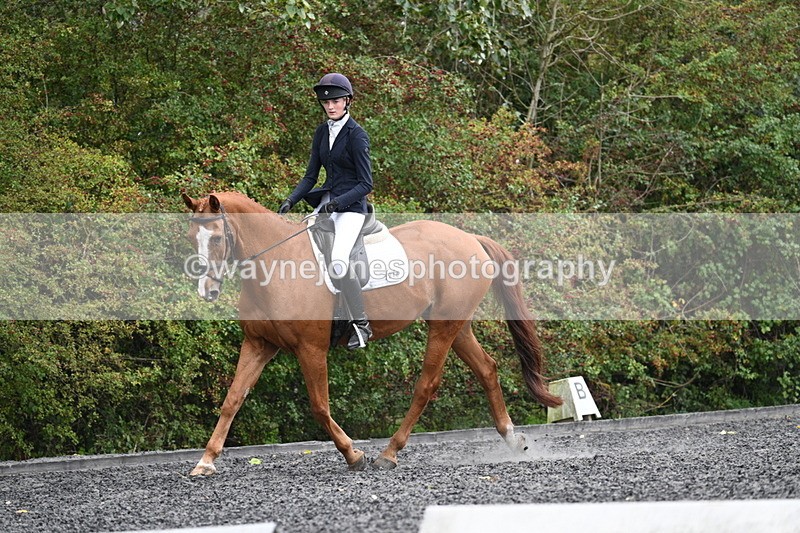 WJ7_6654 - Time 14:49 to 15:14