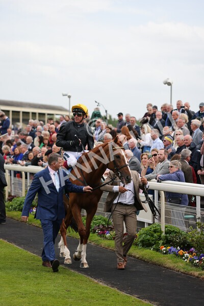 yr13052022r4-25 - Race 4 3.35pm The Paddy Power Yorkshire Cup (British Champions Series Race)