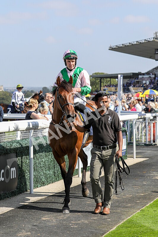 310824-Race 2-Democracy Dilemma-1180